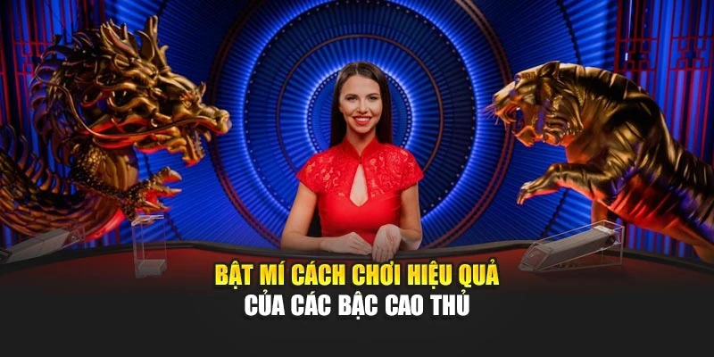 Bật mí cách chơi hiệu quả của các bậc cao thủ