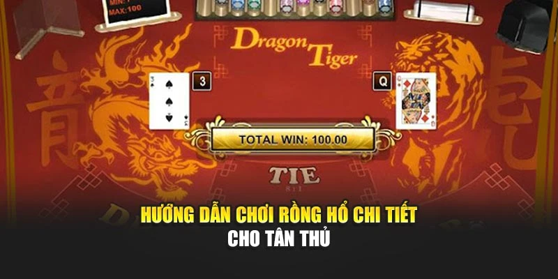 Hướng dẫn chơi Rồng Hổ​​ chi tiết cho tân thủ