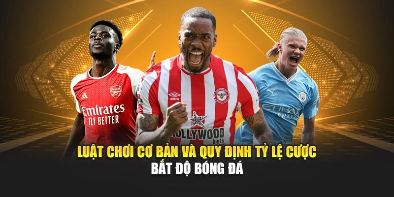 Luật chơi cơ bản và quy định tỷ lệ cược bắt độ bóng đá