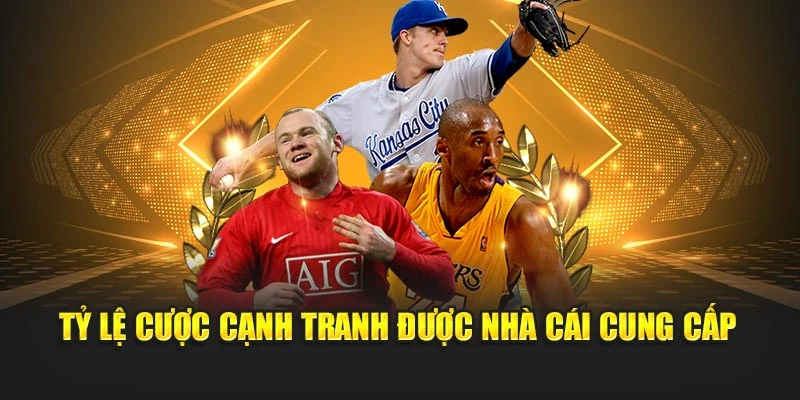 Tỷ lệ cược cạnh tranh được nhà cái cung cấp